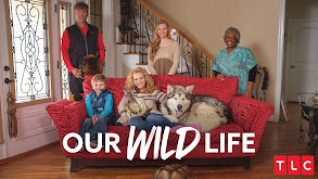 Our Wild Life thumbnail