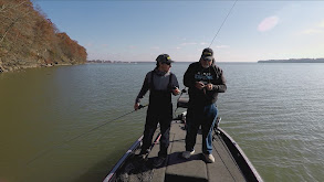 Wheeler Lake, Alabama's Second Largest in the State and a Favorite for National Tournaments thumbnail