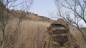 A Trip of Firsts: Mexico Coues Deer thumbnail