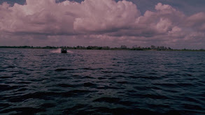 Monster Bass in Shallow Grass thumbnail