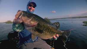 Grassy Florida Largemouth thumbnail