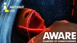 AWARE: Glimpses of Consciousness thumbnail