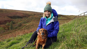 Jersey, The North Pennines, and Snowdonia thumbnail