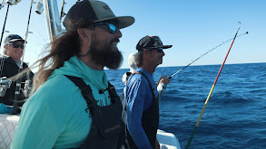 Winter Reef/Wreck Fishing for African Pompano, Mutton Snapper, Yellowtail Snapper thumbnail