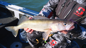 Lake Erie can be Hairy thumbnail