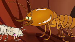 Termite thumbnail