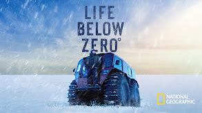 Life Below Zero thumbnail