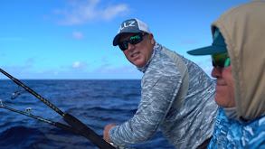 Advanced Tactics For Catching Big Mahi Mahi in the Florida Keys thumbnail