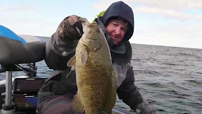 Door County Smallmouth: A-Rig Style thumbnail