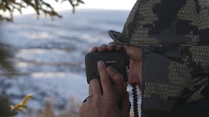 Alaska-Yukon Moose Archery Hunt thumbnail