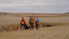 South Dakota Pheasant thumbnail