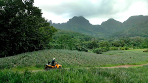 Tropical Adventures on the Island of Tahiti thumbnail