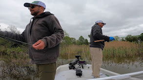 Buck Brush Crappie thumbnail