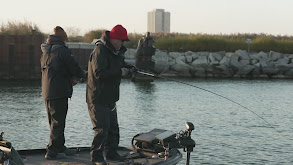 Eric Haataja Milwaukee Trout thumbnail