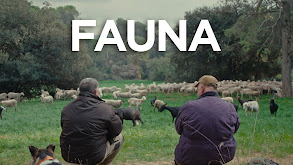 Fauna thumbnail