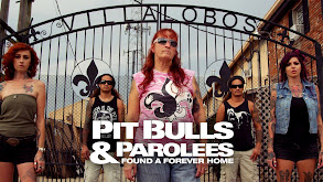 Pit Bulls & Parolees : Found A Forever Home thumbnail