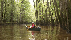 Congaree National Park thumbnail