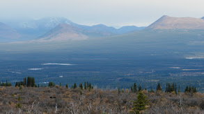 All Hands on Deck: A Moose Hunt thumbnail