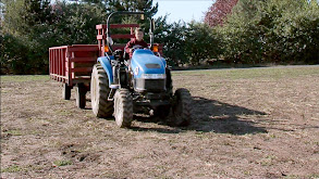 The Tractor and the Tortoise thumbnail