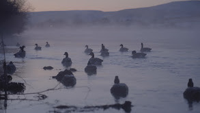 Late Season River Ducks with Ryan Callaghan thumbnail