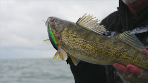 Trolling the Precise Walleye Crank thumbnail