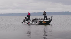 All About the Hair on the Mississippi River thumbnail