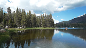 Sierra Dry Fly Fishing thumbnail