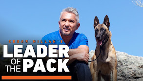 Cesar Millan's Leader of the Pack thumbnail