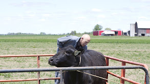 The Cow Jumped Over the Moon thumbnail