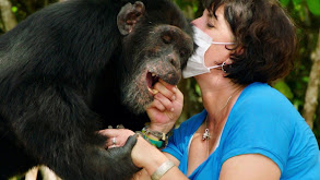 Estelle's Favorite Chimp thumbnail