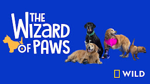 The Wizard of Paws thumbnail