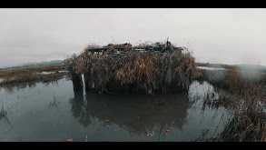 California Strong with Tanglefree Waterfowl thumbnail