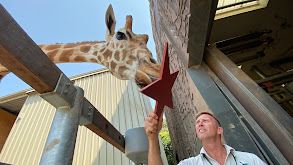 Giraffe-ic Park thumbnail