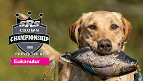 Super Retriever Series: Crown Championship Open Division Champions thumbnail