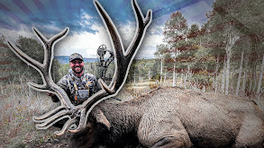 Archery Elk Hunt in the Utah Mountains thumbnail