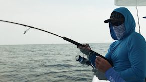 Mutton Snapper Spawn Using BKK Hooks thumbnail