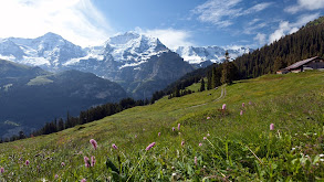 Switzerland's Jungfrau Region: Best of the Alps thumbnail