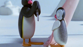 Pingu and Pinga Go Camping thumbnail