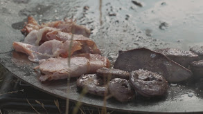 Stalking the Right Roe Buck Before a Gourmet Breakfast thumbnail