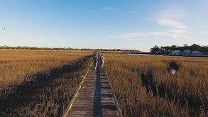 Savannah Hog and Fiddler Crab thumbnail