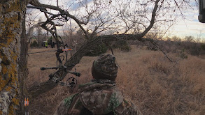 Kansas Whitetails thumbnail