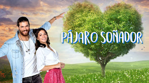 Pájaro soñador thumbnail