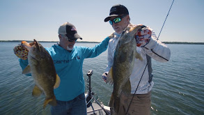 Clear Water, Giant Smallmouth thumbnail