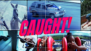 Caught! thumbnail