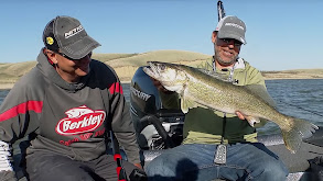 Jigging for Migrating Reservoir Walleye thumbnail