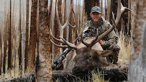 2022 Mule Deer Hunt With the Eastmans thumbnail