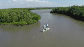 Paddleboarding the Everglades thumbnail