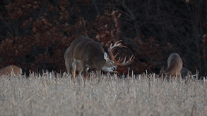 Iowa Late Season Muzzle Loader thumbnail