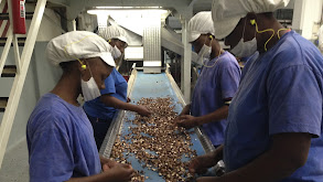 Macadamia Nuts, Tap Water and Crowd Barriers thumbnail