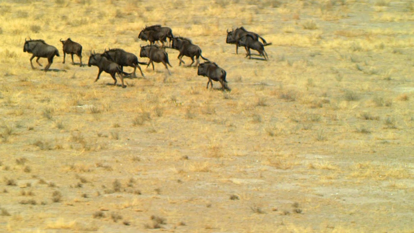 Aerial Africa